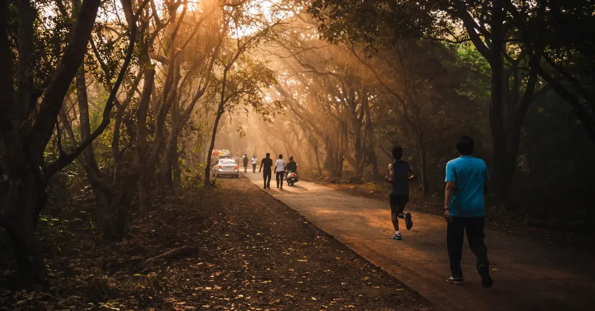 Slow Jogging vs Fast Walking