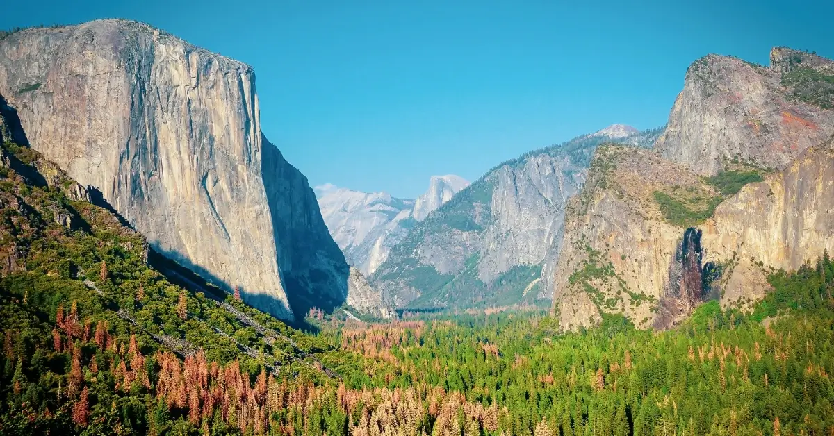 7 Points to Conquer "Yosemite Half Marathon" 2024